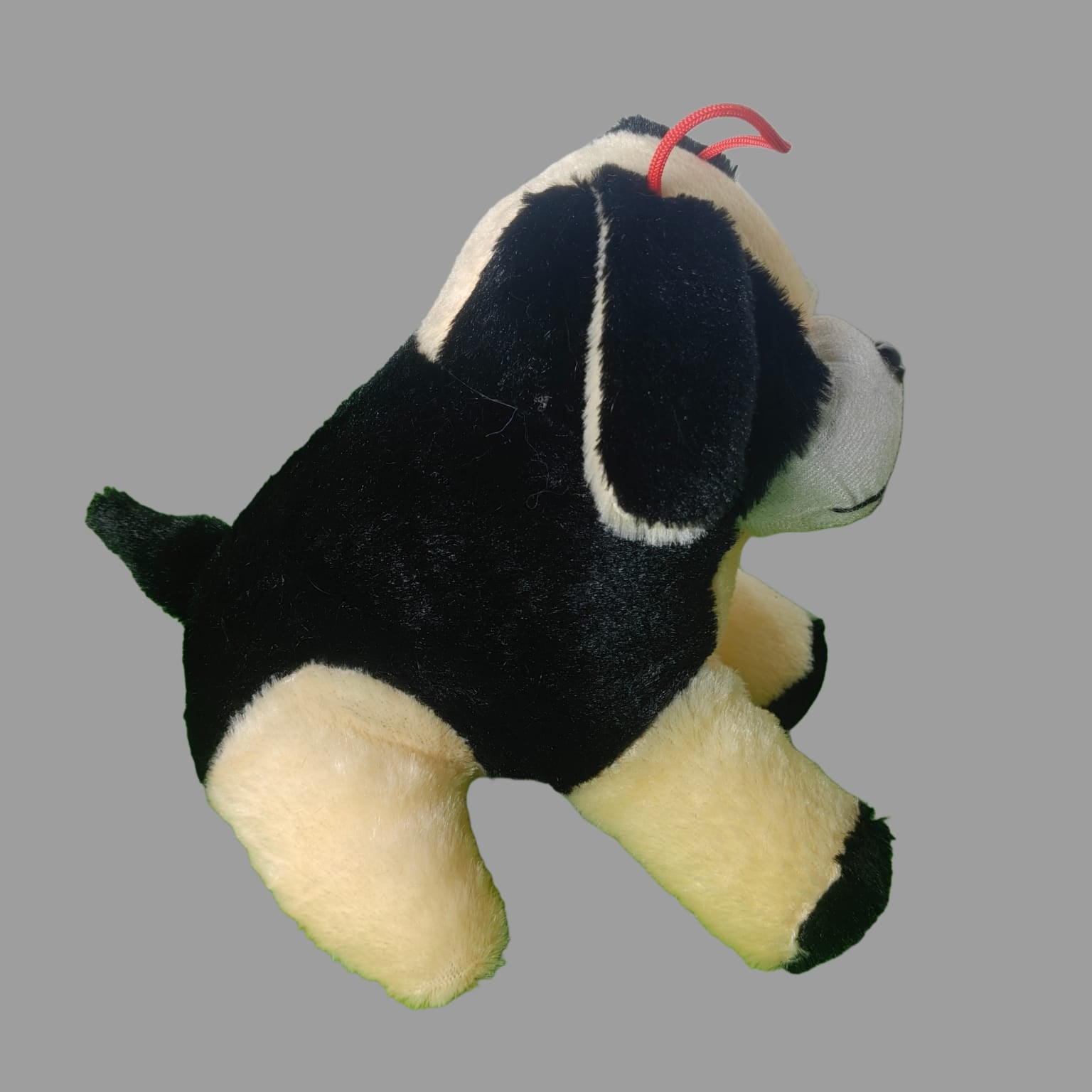 HUG 'n' FEEL SOFT TOYS Long Soft Lovable hugable Cute Giant Teddy Dog Plush & Stuffed Toys (Dog Soft Toys, Pink, Black, Orange) [ 20 CM ]
